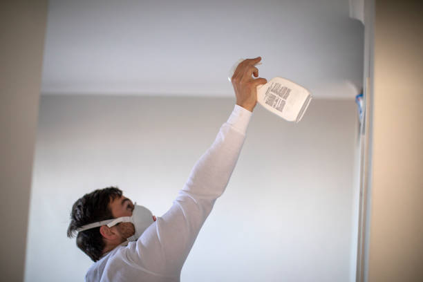 Best Home Mold Removal  in San Mateo, CA