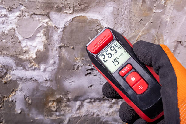 Best Mold Removal and Inspection  in San Mateo, CA