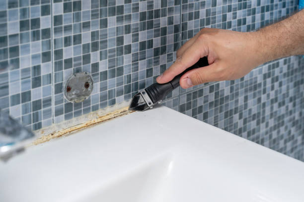 Best Residential Mold Removal  in San Mateo, CA