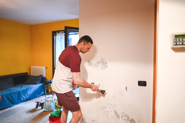 Best Commercial Mold Removal  in San Mateo, CA